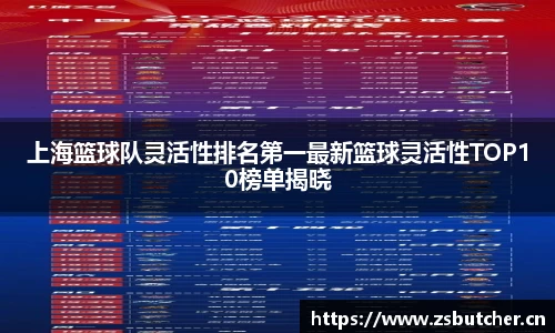 上海篮球队灵活性排名第一最新篮球灵活性TOP10榜单揭晓