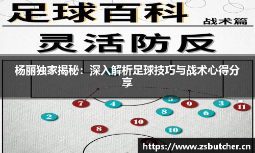 杨丽独家揭秘：深入解析足球技巧与战术心得分享